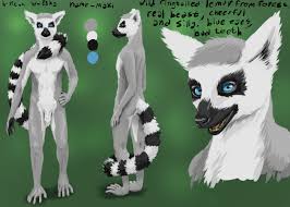 Lemur wild republic