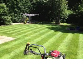 Dez outdoor renovatio 2333 pacific avenue stockton we have been pleased with the lawn cutting. Pin On Wylde Green Garden Services