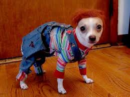 8 Dogs Dressed As Your Favorite Horror Movie Characters Dog Halloween Costumes Dog Halloween Scary Dogs