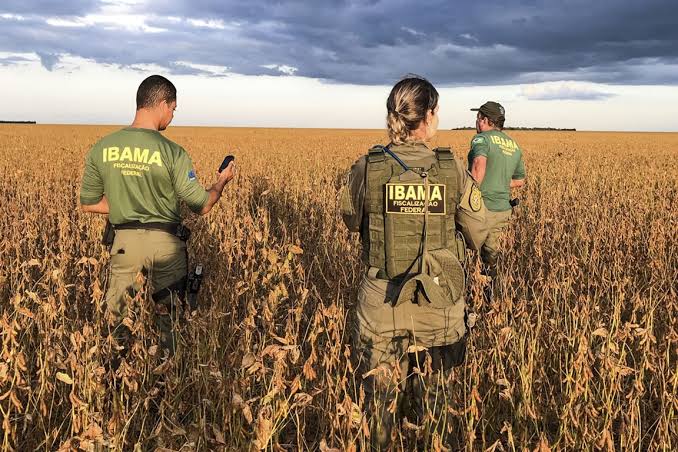 Produtor rural em desespero com ação do IBAMA que destrói sonho na propriedade