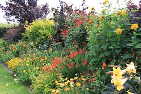 Image result for garden