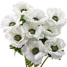 Outdoor artificial plants are weatherproof and uv treated, they require no water and no sun, the perfect solution for today's climate. 9 Long Stems Of Real Touch White Artificial Anemone Silk Flowers W Fiveseasonstuff