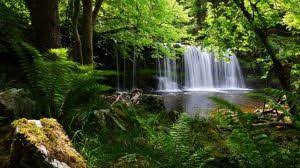Preview Wallpaper Waterfall Grass Nature Shadow 1366x768 Desktop Background Nature Waterfall Wallpaper Beautiful Waterfalls