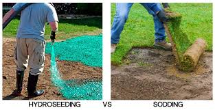 We used a hydro grass seed. Sod Vs Hydroseed Differences Cost How To Choose Cg Lawn