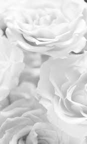 Check spelling or type a new query. Pin By ë¡œì…©ë¯¸ On Grey Aesthetics White Wallpaper White Background Wallpaper White Aesthetic