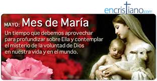 Resultado de imagen de las flores más hermosas del mes de mayo para la virgen en sus manos