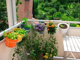 Simple Landscaping Ideas On A Budget Apartments Com Terrace Garden Design Easy Landscaping Apartment Garden