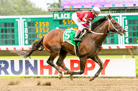 Et on saturday, with medina spirit seeking a shot at the triple crown. 2020 Preakness Stakes Cheat Sheet America S Best Racing
