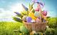 Cute Springtime Desktop Wallpaper