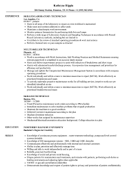 Skilled Technician Resume Samples Velvet Jobs