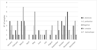 Our pest control services treat your toughest household pest problems from. Insect Pest Consumption By Bats In Macadamia Orchards Established By Molecular Diet Analyses Sciencedirect