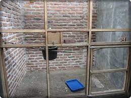 Perhatikan Hal Berikut Ini Sebelum Membuat Kandang Ternak Murai Batu