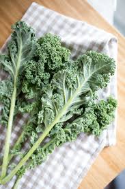 Morning sun is preferable to afternoon sun, as the hot afternoon sun can scorch the plants on a hot day (although it has to be pretty sunny to scotch a kale plant through a window!). Your Guide To Growing Kale Indoors Harper S Nurseries