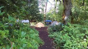 Maybe you would like to learn more about one of these? Zigzag Mountain Farm