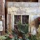 Build Your Own Seasonal Winter Container @ Snug event image