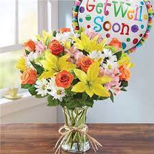 Get well flowers near me. 1 800 Flowers Fields Of Europe Get Well Mount Prospect Il