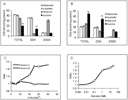 We did not find results for: Role Of Reduced Glutathione Efflux In Apoptosis Of Immortalized Human Keratinocytes Induced By Uva Journal Of Biological Chemistry