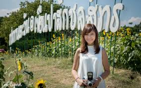 Bunga matahari hanya ada dalam bulan november, disember dan januari sahaja setiap tahun. Mengunjungi Sunflower Field Di Lopburi Thailand The Story Of Lynn