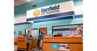 Maybe you would like to learn more about one of these? Banfield Pet Hospital Jobs And Company Culture
