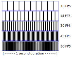 Video Frame Rate