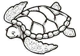 The spruce / wenjia tang take a break and have some fun with this collection of free, printable co. Free Printable Turtle Coloring Pages For Kids Turtle Coloring Pages Turtle Drawing Free Coloring Pages