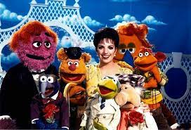 Pin On Muppet Connection