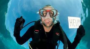 Image result for who teaches diver rescue course