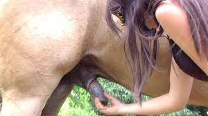 HORSE slut likes to suck Horse dick in public