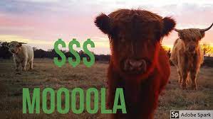 The cost, $4.46 per pound, totals close to $669, with the average customer taking home 100 pounds worth of meat. 4 Facts About Highland Cows Youtube