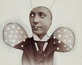 30 Lynn Whipple ideas