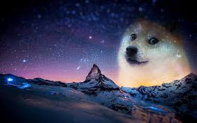 A cold bitter touchepisode 1: Doge Wallpaper Gets An Update Album On Imgur