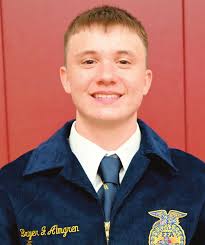 Wayne Layout Template