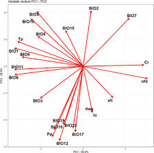 Image result for Balthasaria schliebenii