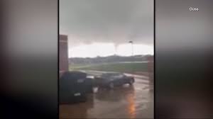 Abigail Wolfenberger