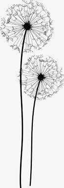 Dandelion Vector And Png Dandelion Art Dandelion Vector Art