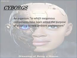Cyborsppd cybernetics + organism