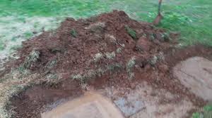 So, it's important you replace this lid on a. How To Find And Dig Up Your Septic Tank Youtube