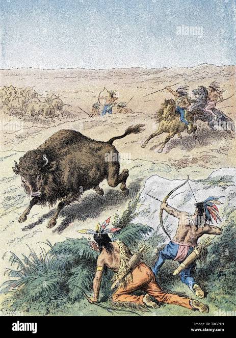 North American Indians hunting buffalo (North American Bison) on prairies with bows and arrows and spears c.1870 Colour-printed wood engraving Paris Stock Photo - Alamy