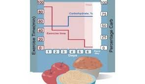 Image result for Carbohydrate Loading