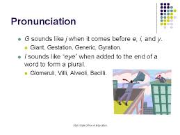 Learn how to pronounce the word glomerular. Medical Terms Medical Terminology Utah State Office Of