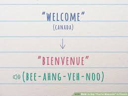 Here is the translation and the french word for welcome: How Do You Say Welcome Home In French Property99