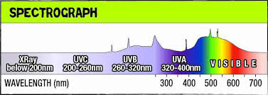 Understanding Uva Uvb And Uvc Reptile Lighting