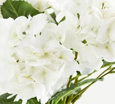 Amazon com nolast artificial flowers 25 long stem faux flower arrangements for tall vases home party garden office wedding decoration 5 pcs yellow home via title: Faux Hydrangea Stem White Artificial Flowers Pottery Barn