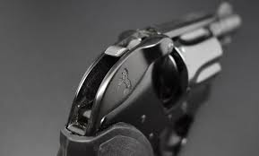 Image result for Polar White 1983 Colt