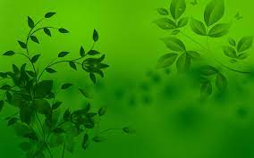 Explore and download tons of high quality green wallpapers all for free! Free Download Green Backgrounds 2560x1600 For Your Desktop Mobile Tablet Explore 77 Free Background Wallpaper Free Desktop Wallpaper Backgrounds And Wallpapers Wallpapers For Desktop