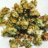 Image result for can you smoke beer hops