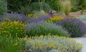 My Favorite Plant Combinations High Country Gardens Garden Plants Design Landscaping Inspiration High Country Gardens