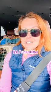 @oaklandanimalservices @oas_seniordogs @muttvillesf #oakland #dog  #chiropractic #chirodogtor #wellness #chiropractor #dogs #seniordogs  #rescuedogsofinstagram #rescuedog #sanfrancisco