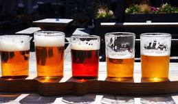 Beer Festival with Live Music