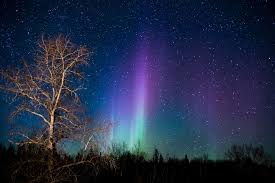 Pin On Aurora Northen Lights